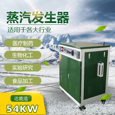 54kw电热蒸汽发生器