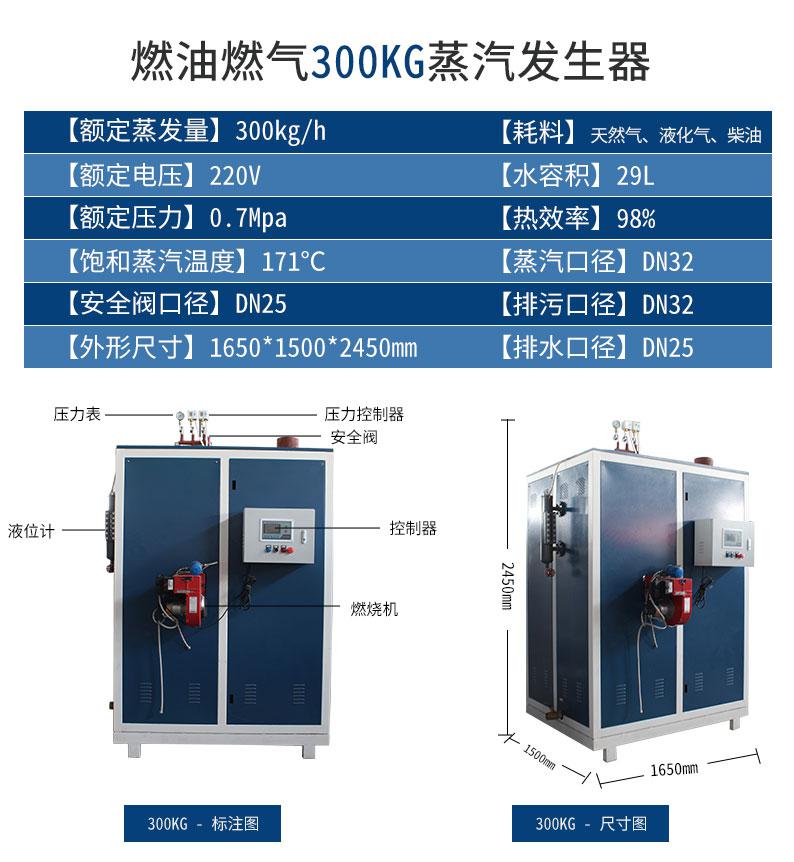 鑫达能300kg蒸汽发生器设备参数